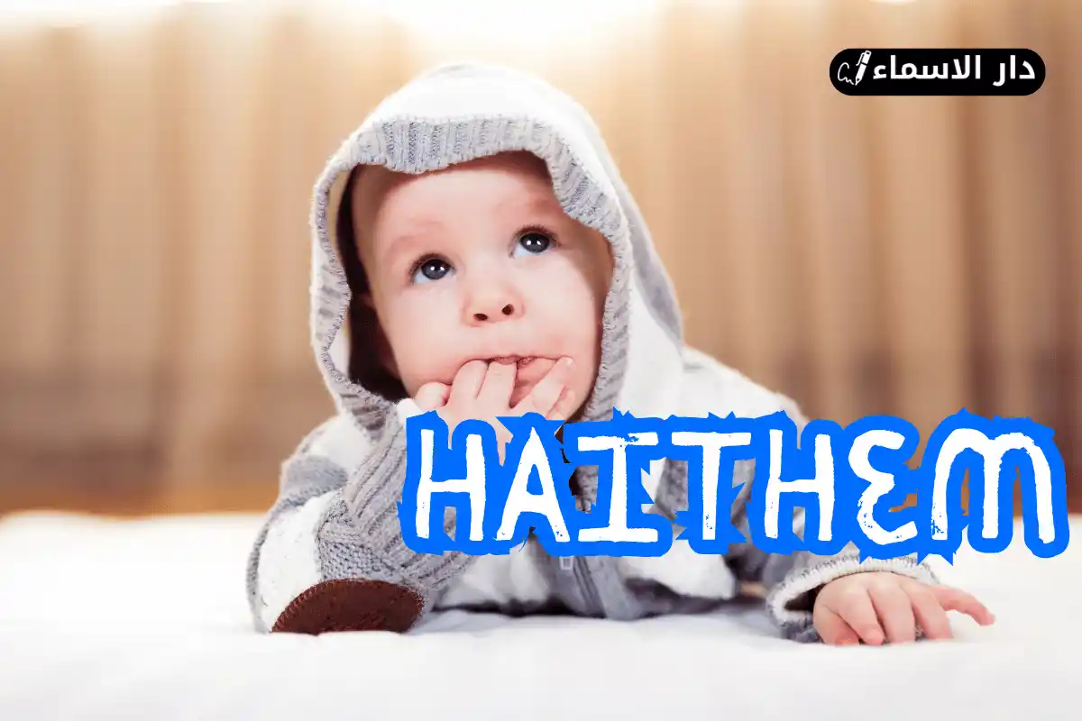 معنى اسم هيثم