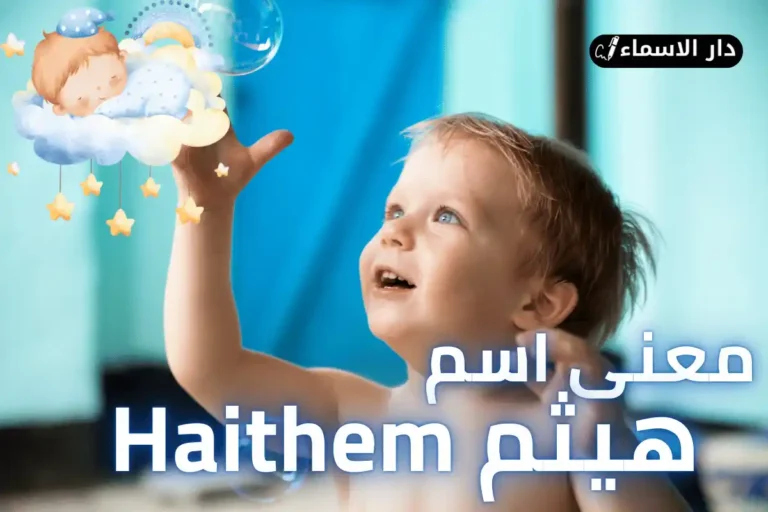 معنى اسم هيثم