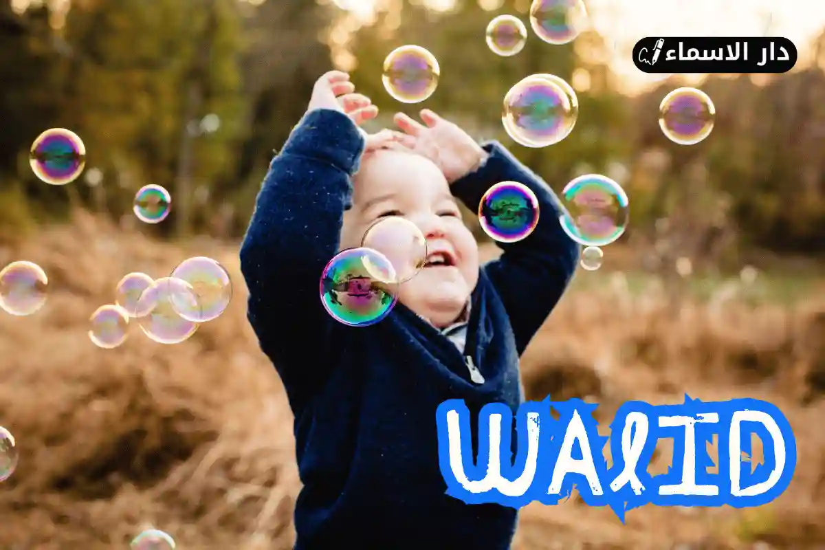 معنى اسم وليد