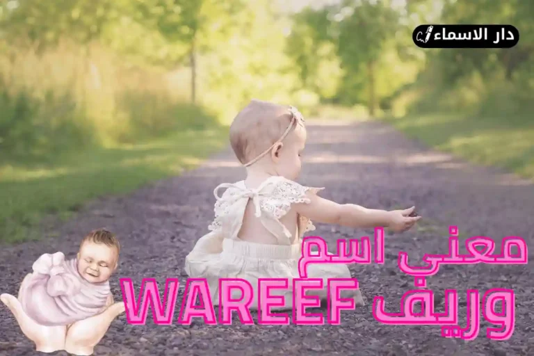 معنى اسم وريف