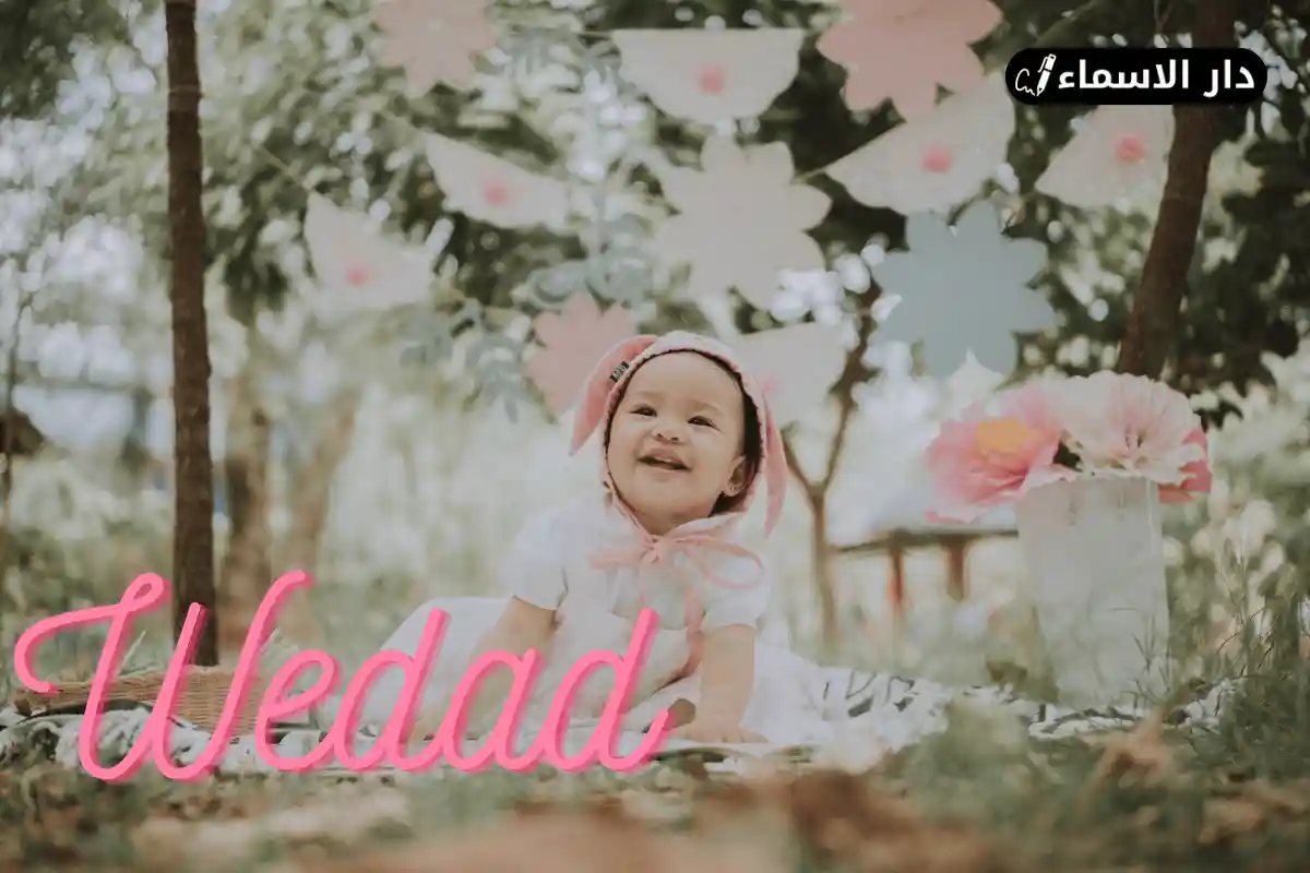 معنى اسم وداد