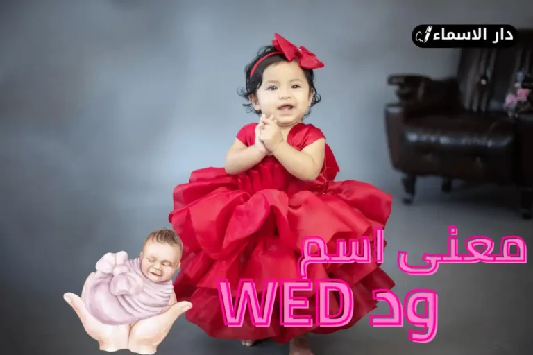 معنى اسم ود