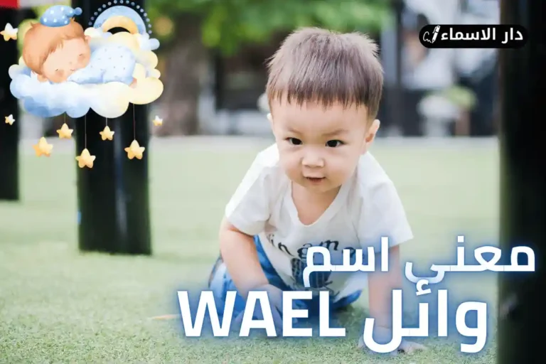 معنى اسم وائل