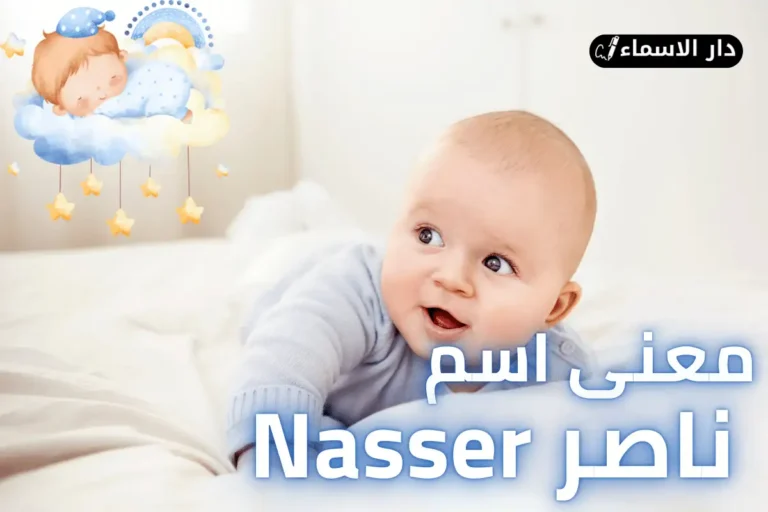 معنى اسم ناصر