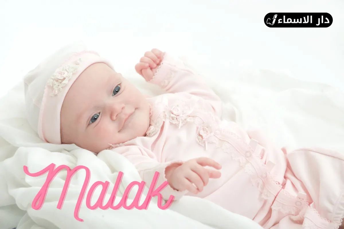 معنى اسم ملك