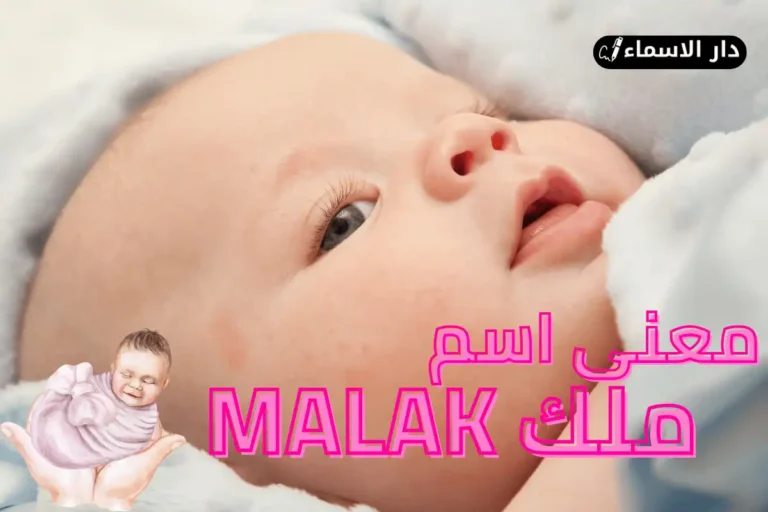 معنى اسم ملك