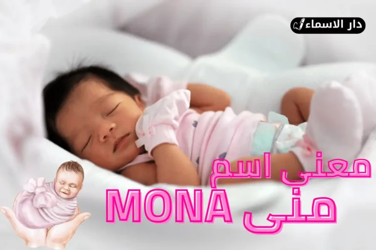 معنى اسم منى